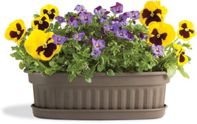 Botanica Collection of pots for container gardens, planters, patios and house plants.
